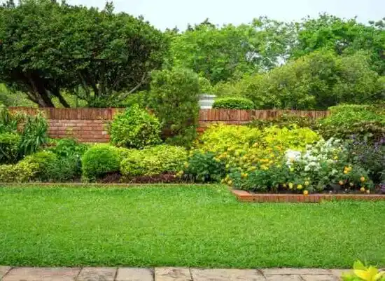 landscaping services Lovington